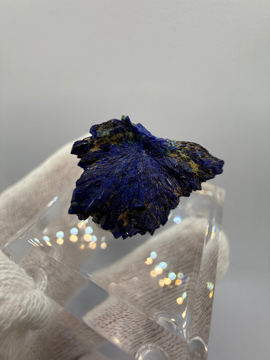 AZURITE AND MALACHITE THUMBNAIL - BURRA COPPER MINE, SOUTH AUSTRALIA