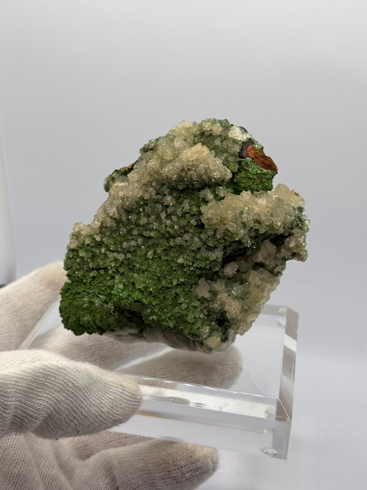 CALCITE ON CONICHALCITE - MINA OJUELA, MEXICO