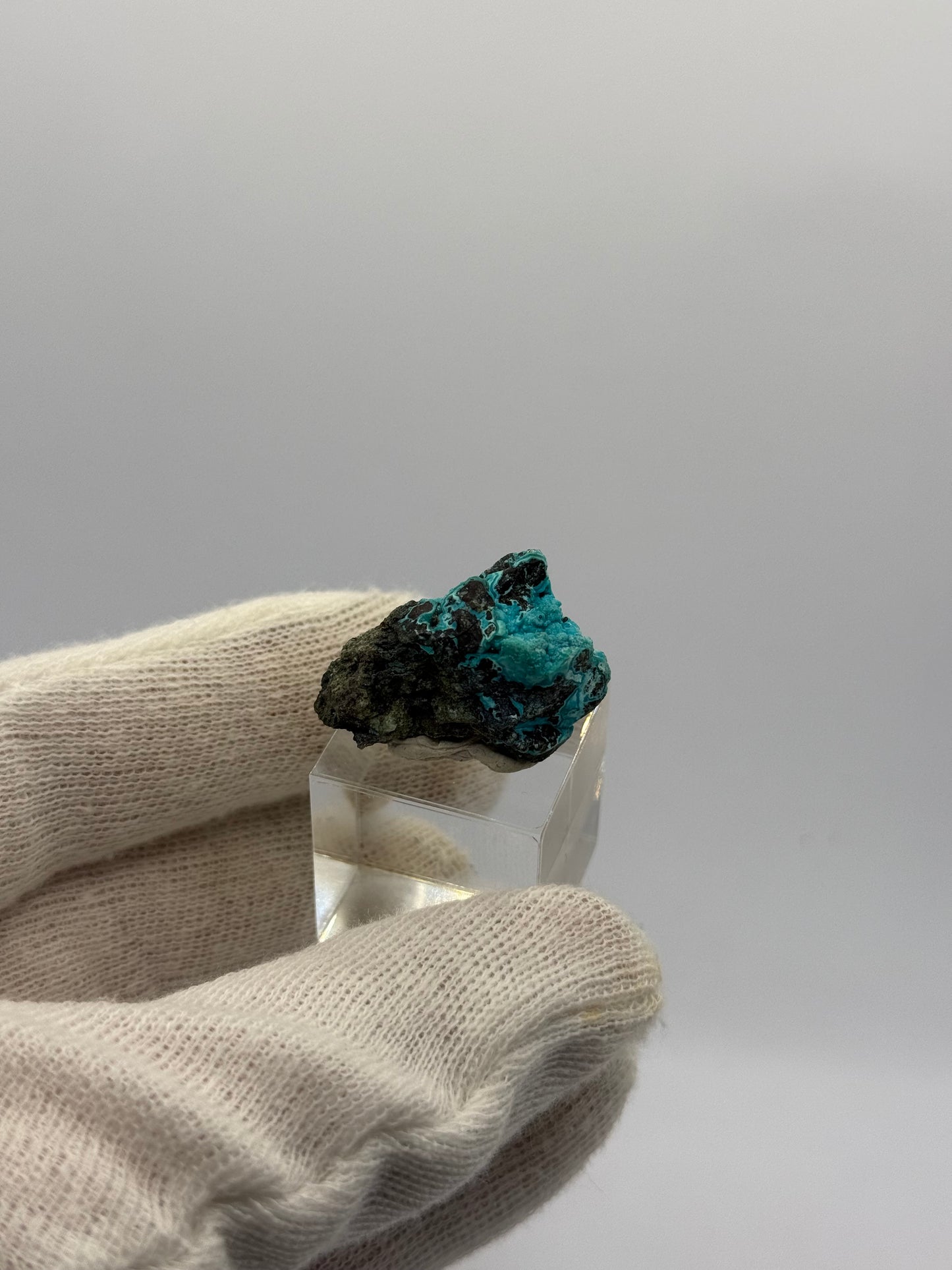 CHRYSOCOLLA - LILY MINE, PERU