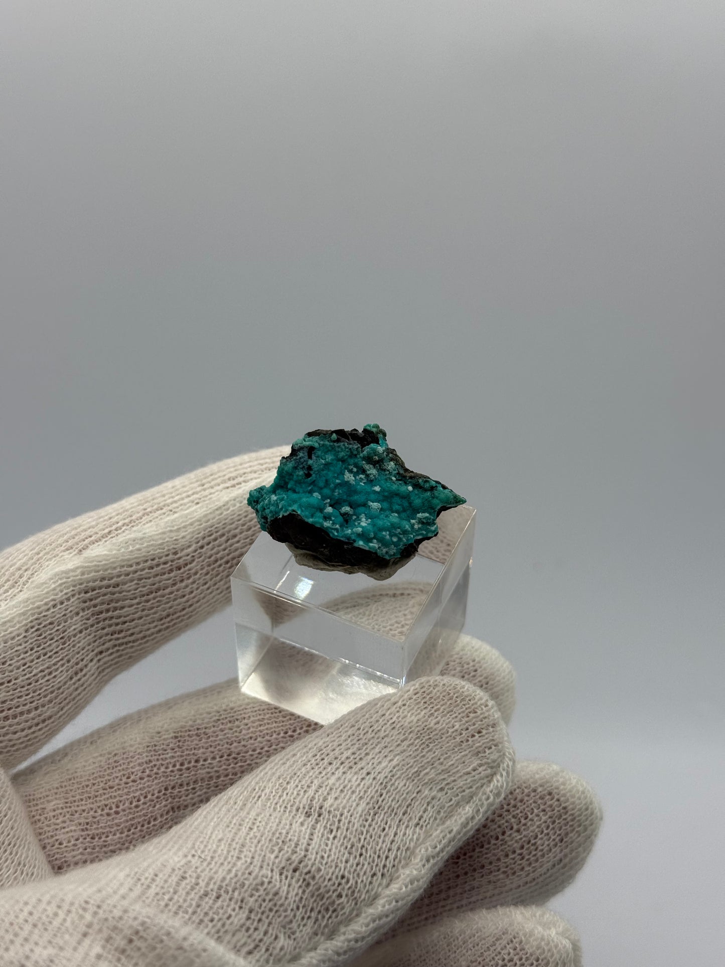 CHRYSOCOLLA - LILY MINE, PERU