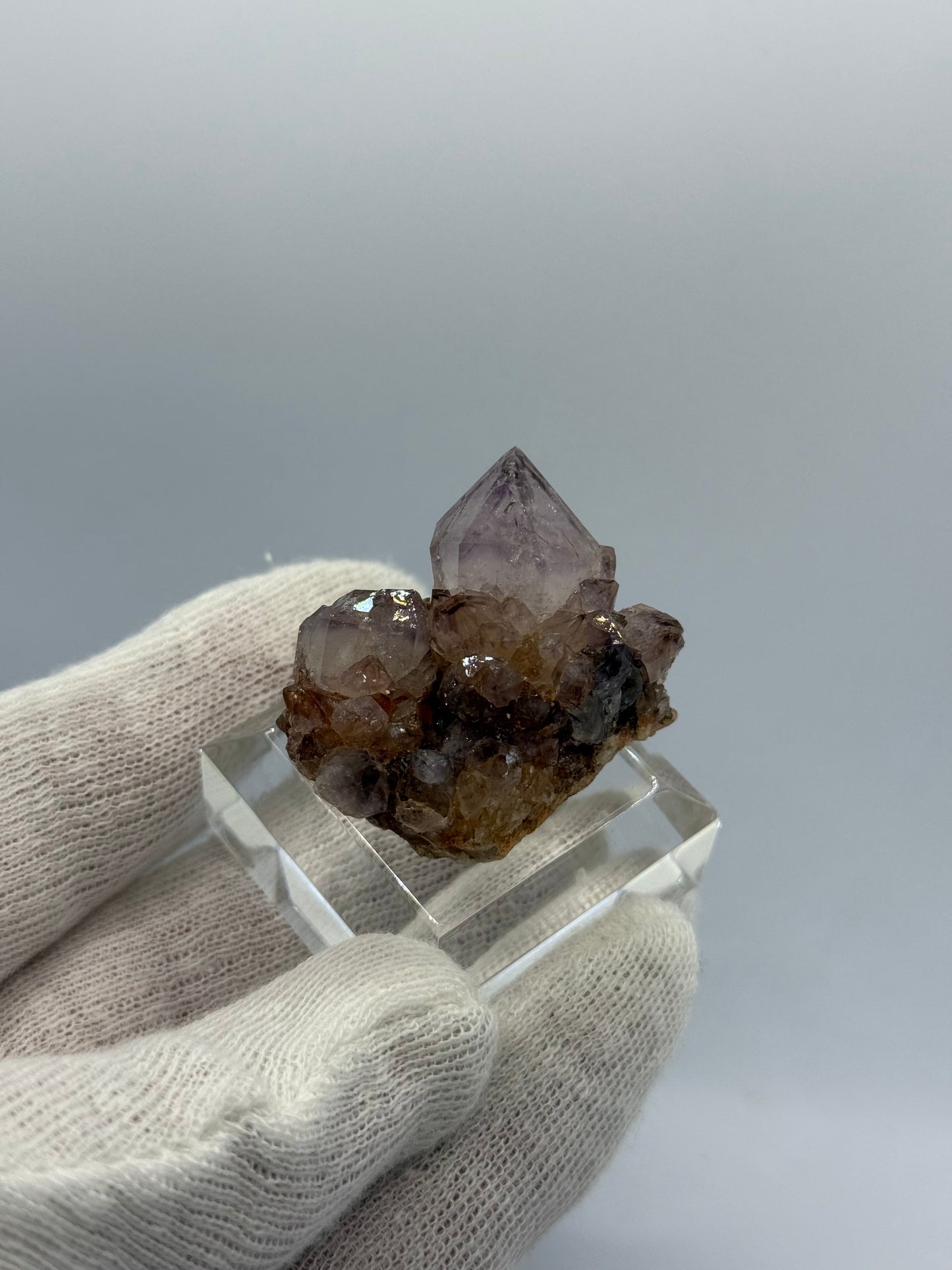 QUARTZ (VAR. AMETHYST) CACTUS QUARTZ - BOEKENHOUTSHOEK AREA, SOUTH AFRICA