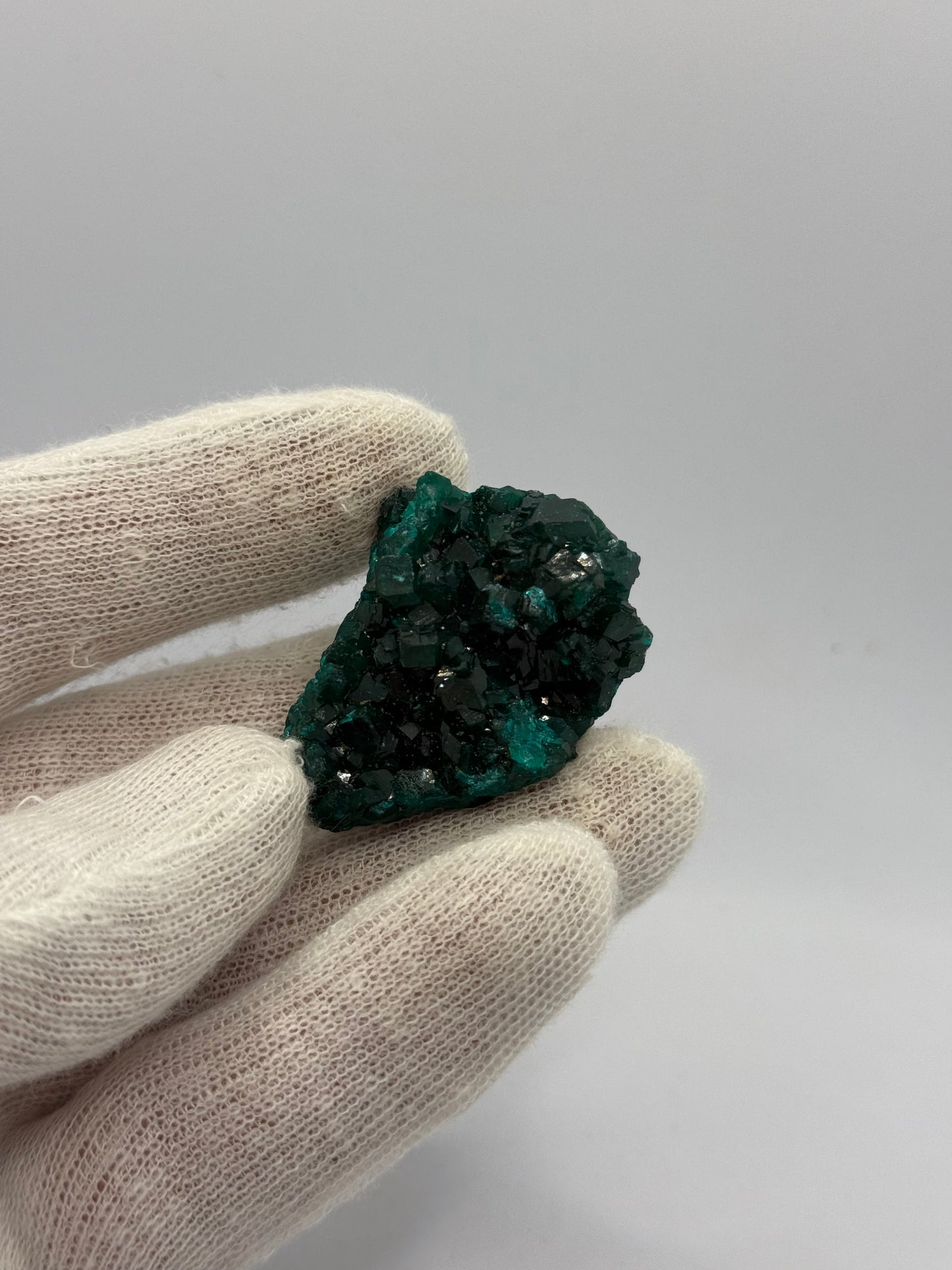 DIOPTASE - TANTARA MINE, SHINKOLOBWE, KAMBOVE TERRITORY, HAUT-KATANGA, DR CONGO