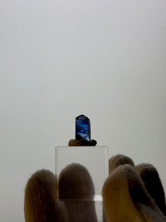 TANZANITE 1.53g - MERELANI HILLS, TANZANIA