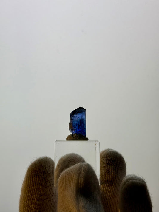 TANZANITE 2.74g - MERELANI HILLS, TANZANIA