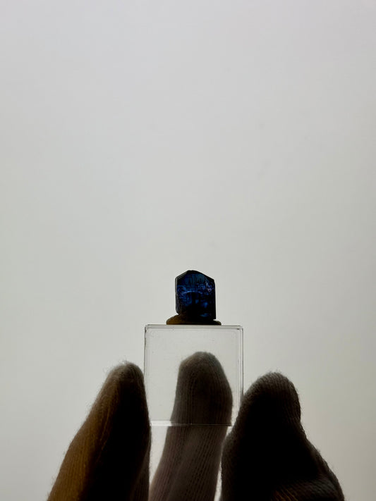 TANZANITE 2.77g - MERELANI HILLS, TANZANIA