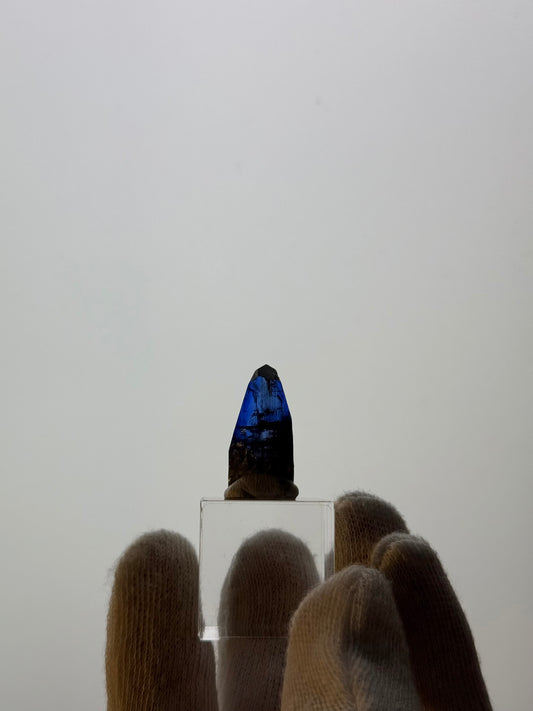 TANZANITE 7.00g - MERELANI HILLS, TANZANIA