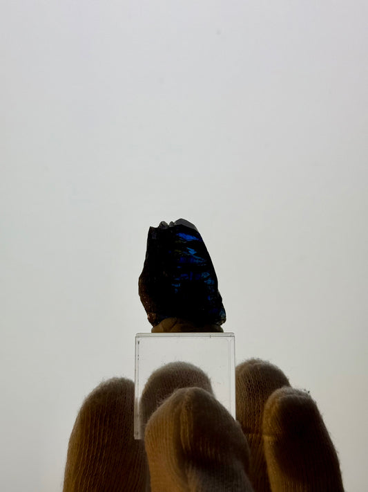 TANZANITE 18.18g - MERELANI HILLS, TANZANIA