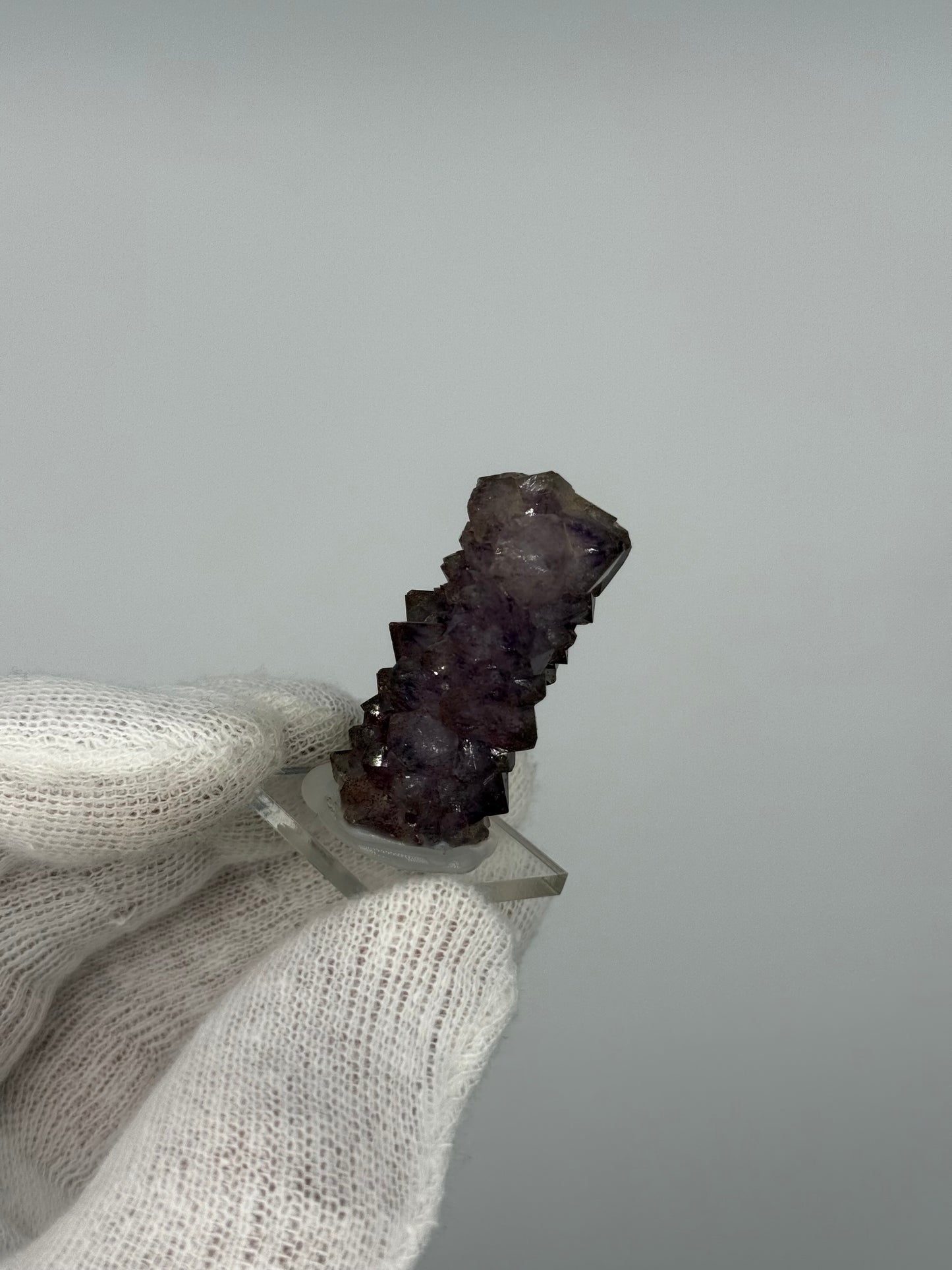 AMETHYST - WAVE HILL, NORTHERN TERRITORY