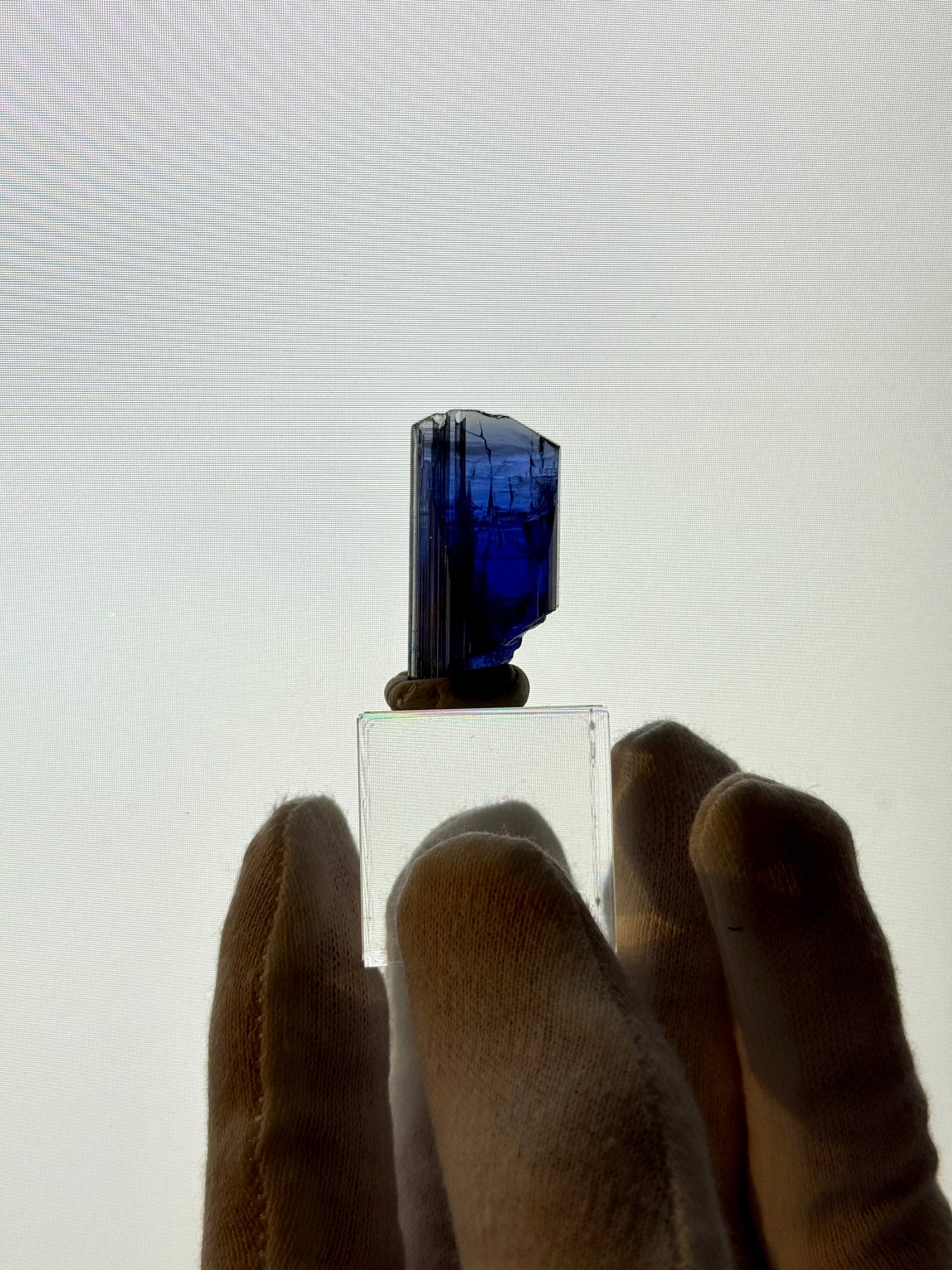 TANZANITE 11.1g - MERELANI HILLS, TANZANIA