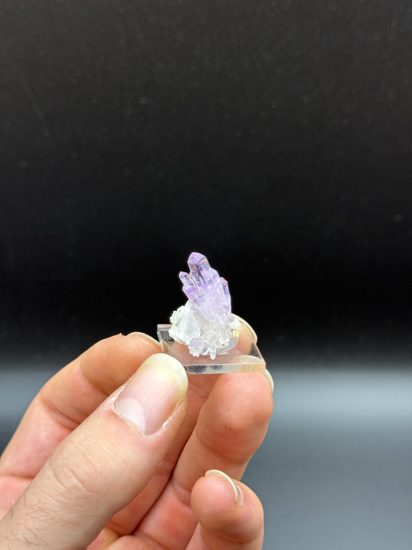 AMETHYST - VERACRUZ, MEXICO