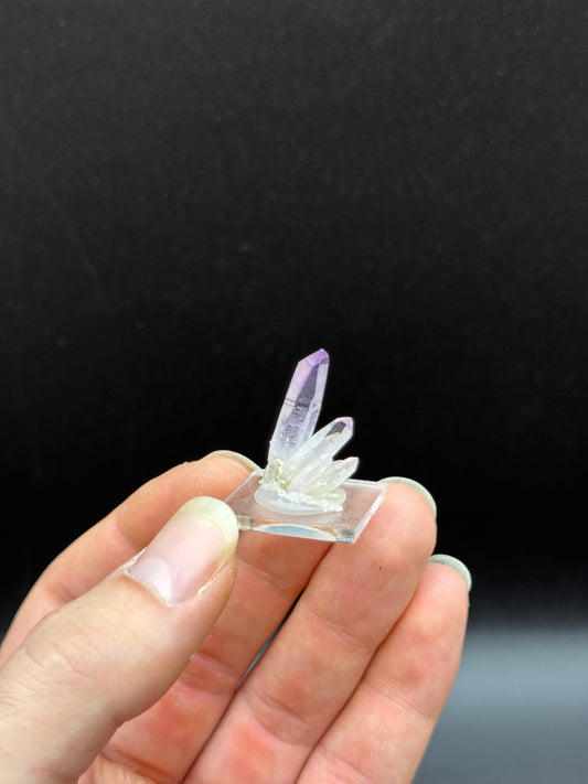 AMETHYST - VERACRUZ, MEXICO