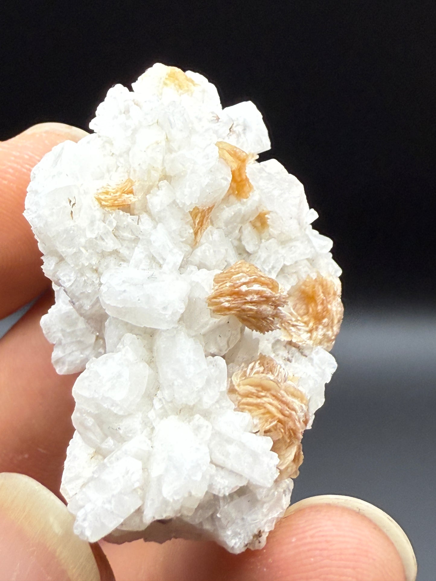 BERYL (VAR. GOSHENITE), MUSCOVITE & ALBITE - SHENGUS, ROUNDU DISTRICT, GILGIT-BALTISTAN, PAKISTAN