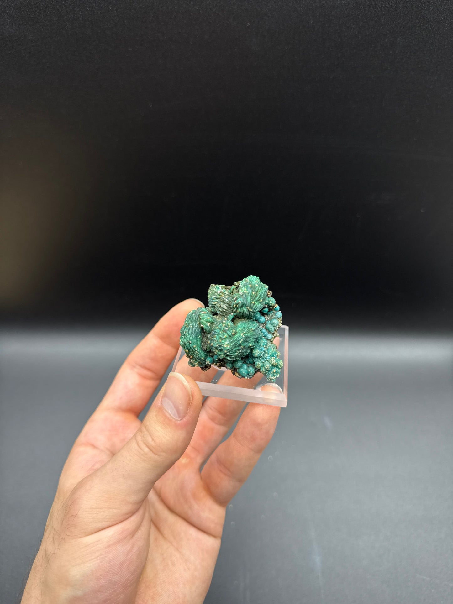 MALACHITE PSEUDOMORPH WITH CHRYSOCOLLA & WULFENITE - WHIM WELL COPPER MINE, WHIM CREEK, WESTERN AUSTRALIA