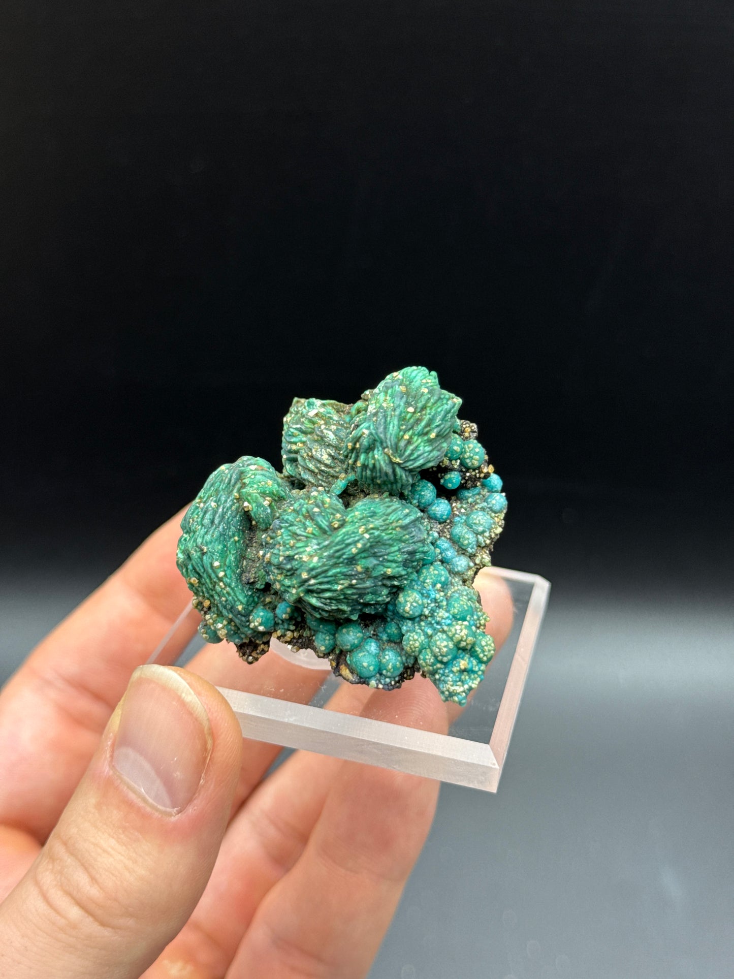 MALACHITE PSEUDOMORPH WITH CHRYSOCOLLA & WULFENITE - WHIM WELL COPPER MINE, WHIM CREEK, WESTERN AUSTRALIA