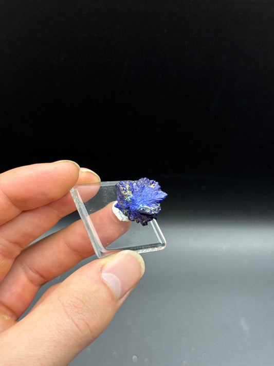 AZURITE AND MALACHITE THUMBNAIL - BURRA COPPER MINE, SOUTH AUSTRALIA