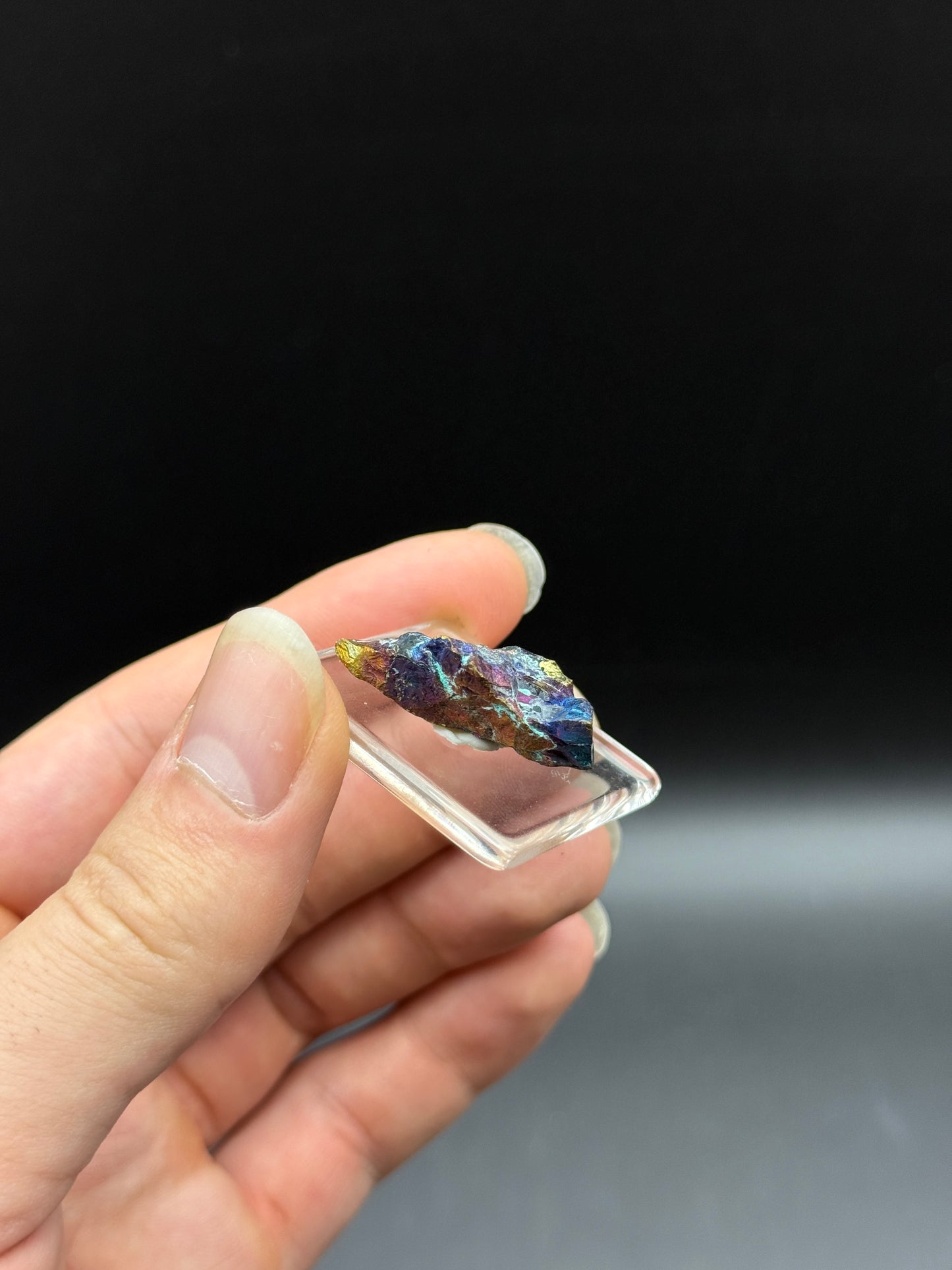 BORNITE (PEACOCK ORE) - POONA MINE, SOUTH AUSTRALIA