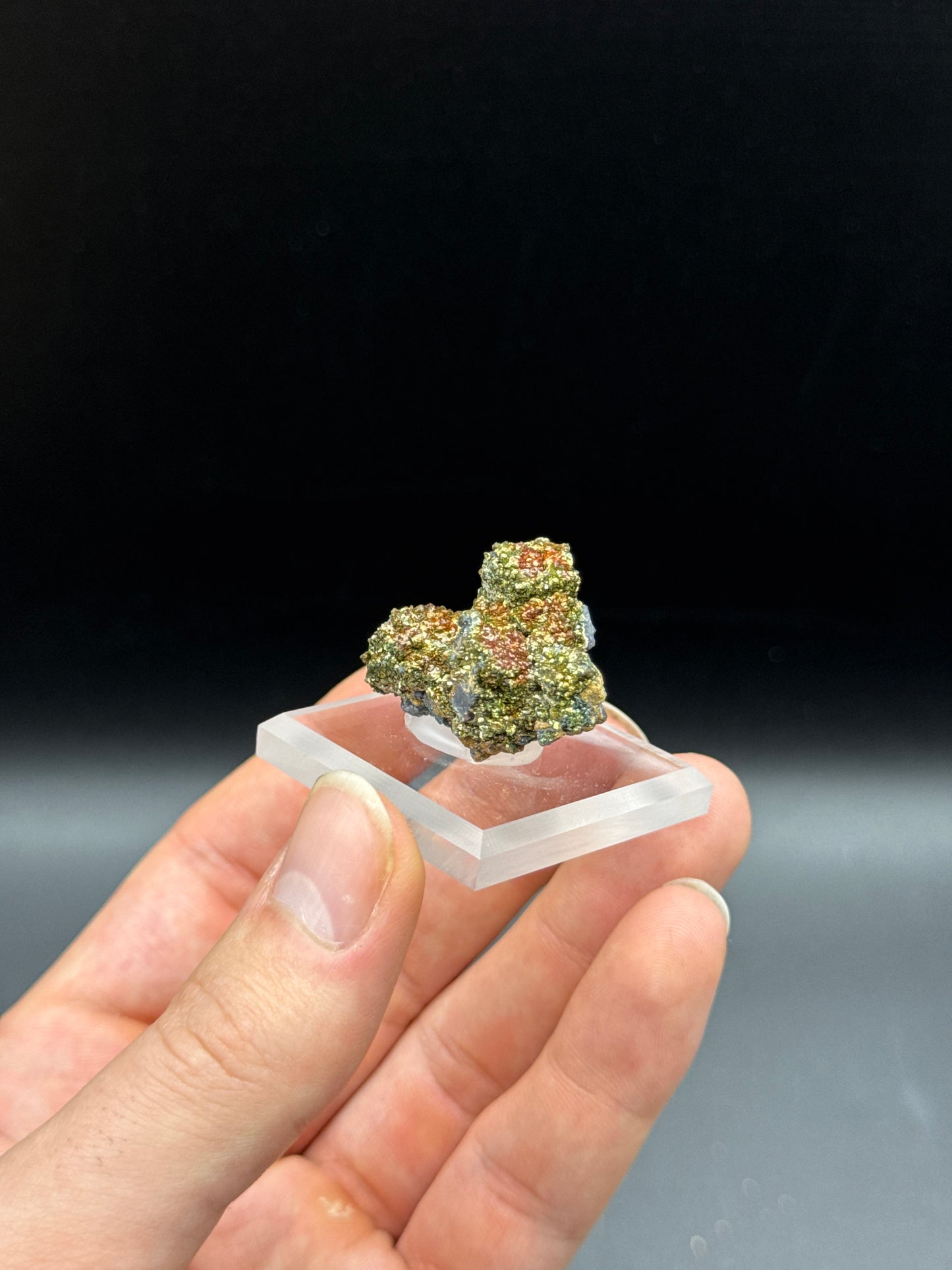 MARCASITE ON GALENA - CADJEBUT MINE, FITZROY CROSSING, DERBY-WEST KIMBERLEY SHIRE, WESTERN AUSTRALIA