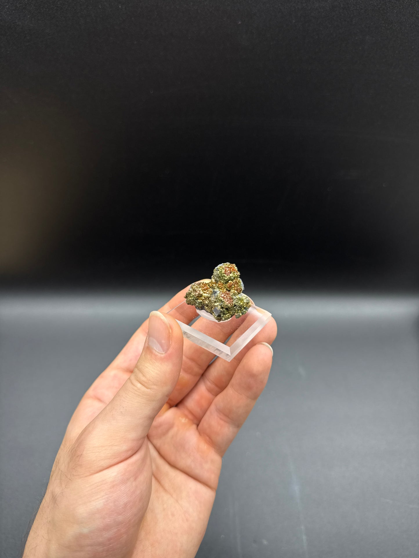 MARCASITE ON GALENA - CADJEBUT MINE, FITZROY CROSSING, DERBY-WEST KIMBERLEY SHIRE, WESTERN AUSTRALIA