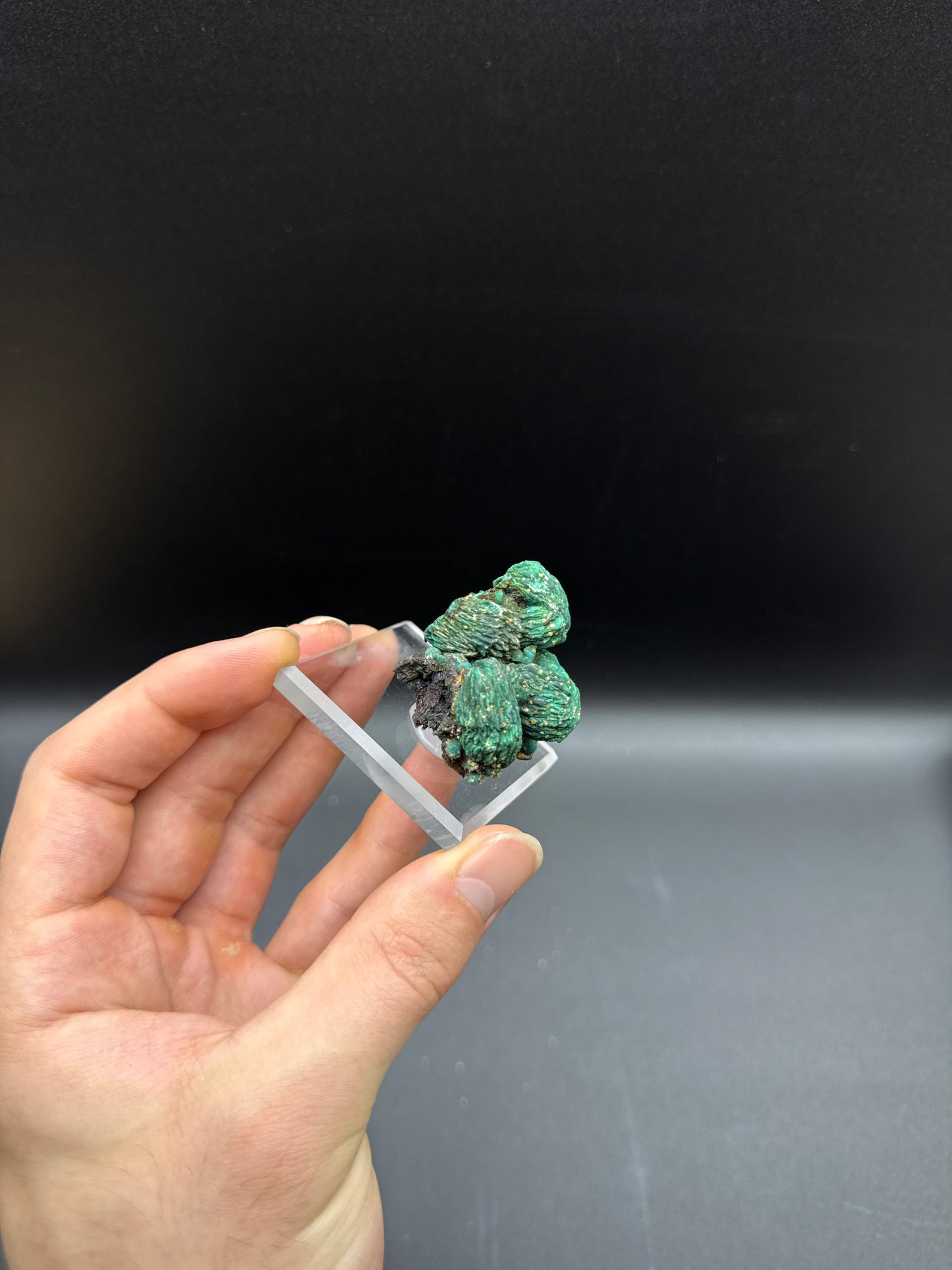 MALACHITE PSEUDOMORPH WITH CHRYSOCOLLA & WULFENITE - WHIM WELL COPPER MINE, WHIM CREEK, WESTERN AUSTRALIA