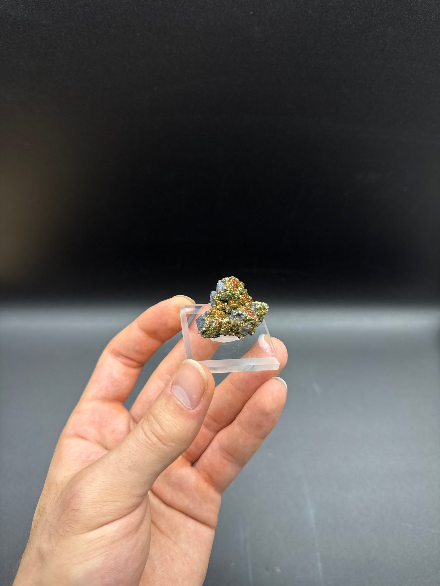 MARCASITE ON GALENA - CADJEBUT MINE, FITZROY CROSSING, DERBY-WEST KIMBERLEY SHIRE, WESTERN AUSTRALIA