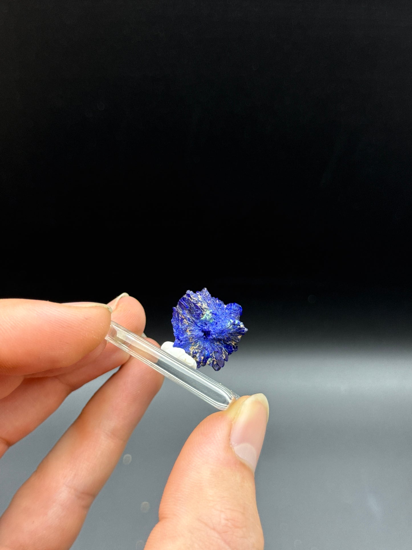 AZURITE AND MALACHITE THUMBNAIL - BURRA COPPER MINE, SOUTH AUSTRALIA