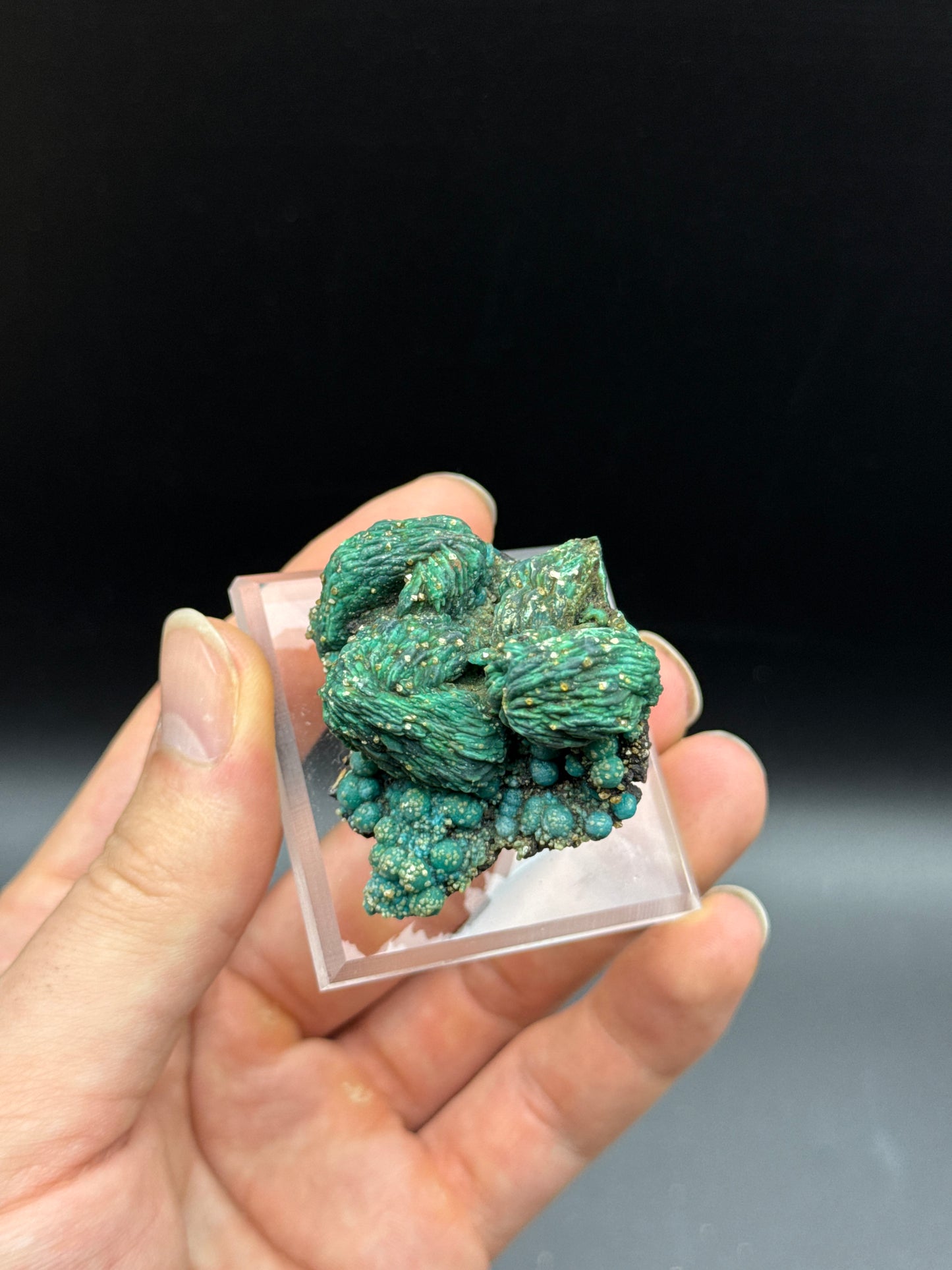 MALACHITE PSEUDOMORPH WITH CHRYSOCOLLA & WULFENITE - WHIM WELL COPPER MINE, WHIM CREEK, WESTERN AUSTRALIA