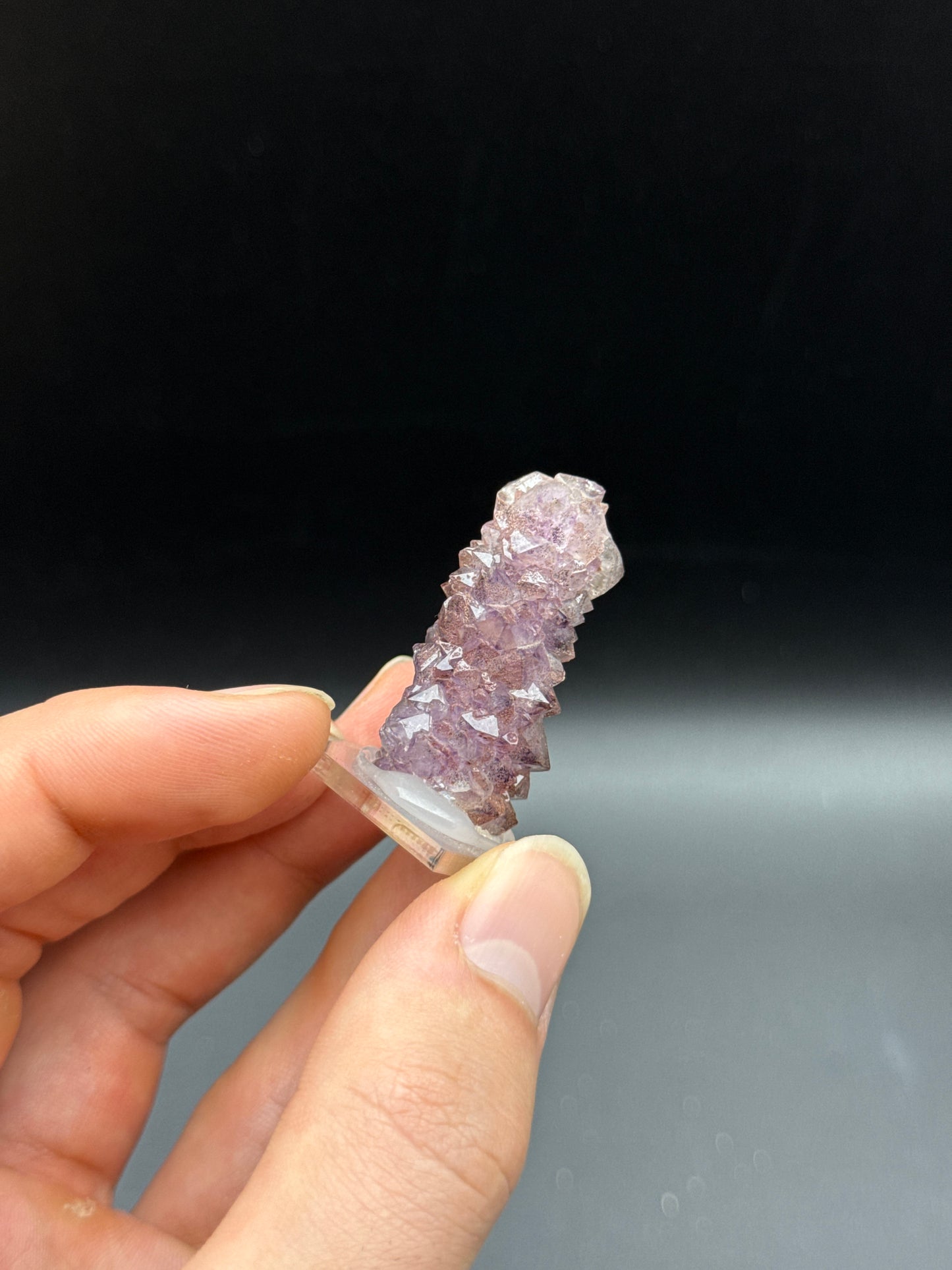 AMETHYST - WAVE HILL, NORTHERN TERRITORY