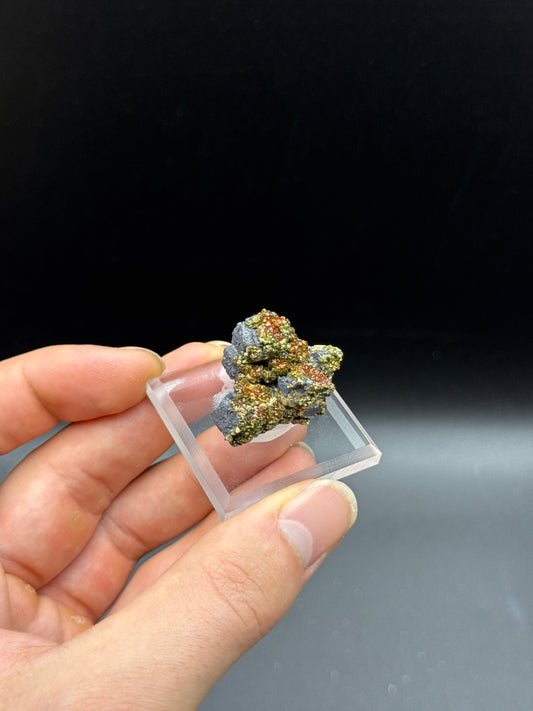 MARCASITE ON GALENA - CADJEBUT MINE, FITZROY CROSSING, DERBY-WEST KIMBERLEY SHIRE, WESTERN AUSTRALIA