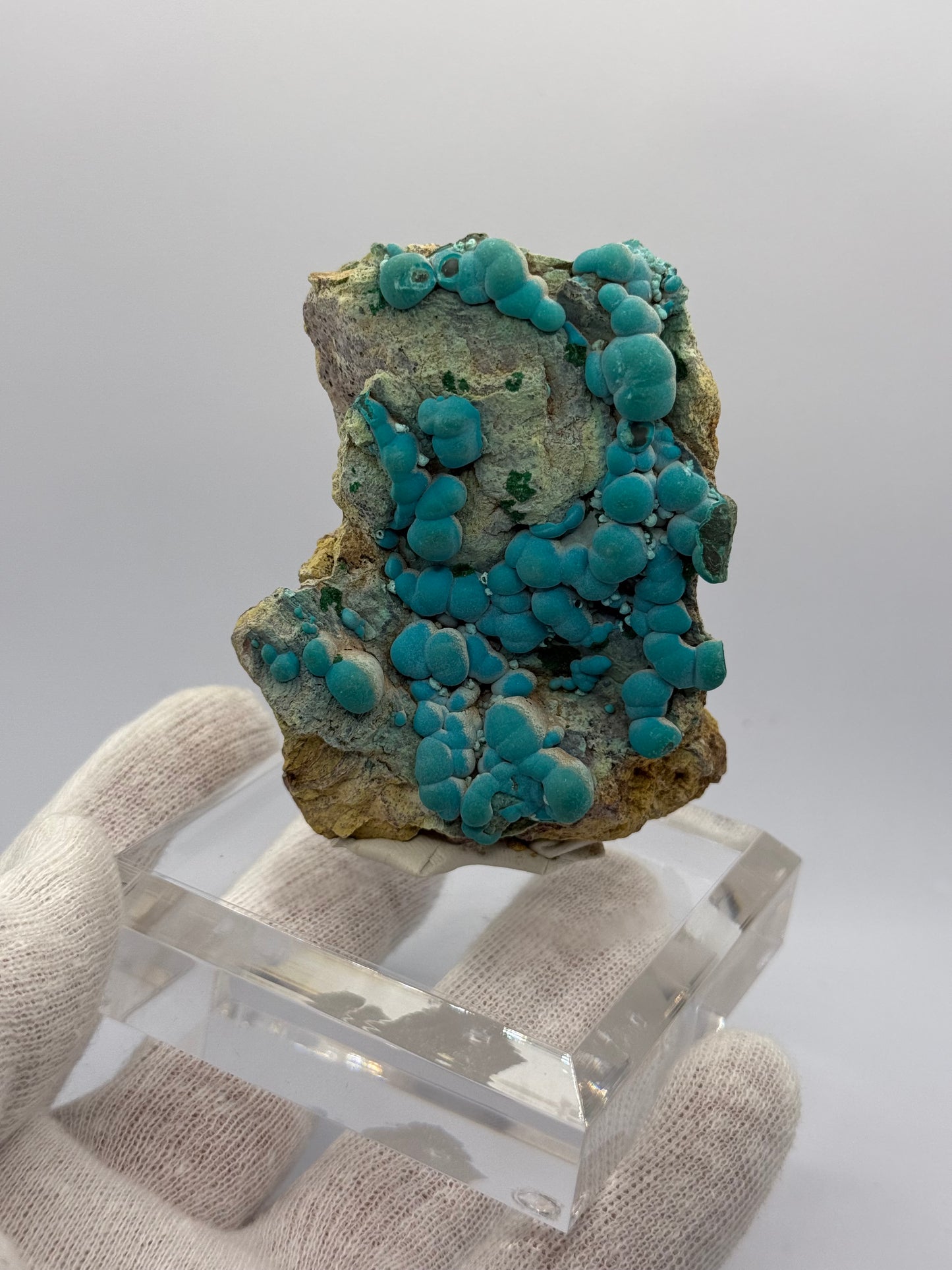 BOTRYOIDAL CHRYSOCOLLA - L'ETOILE DU CONGO MINE, DR CONGO