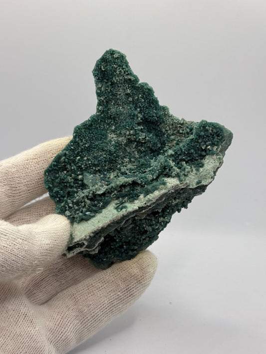 SPARKLY MARSHY APOPHYLLITE - MAHARASHTRA, INDIA