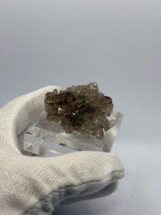 ALPINE SMOKY QUARTZ - MONT BLANC, FRANCE