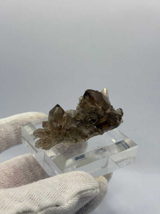 ALPINE SMOKY QUARTZ - MONT BLANC, FRANCE