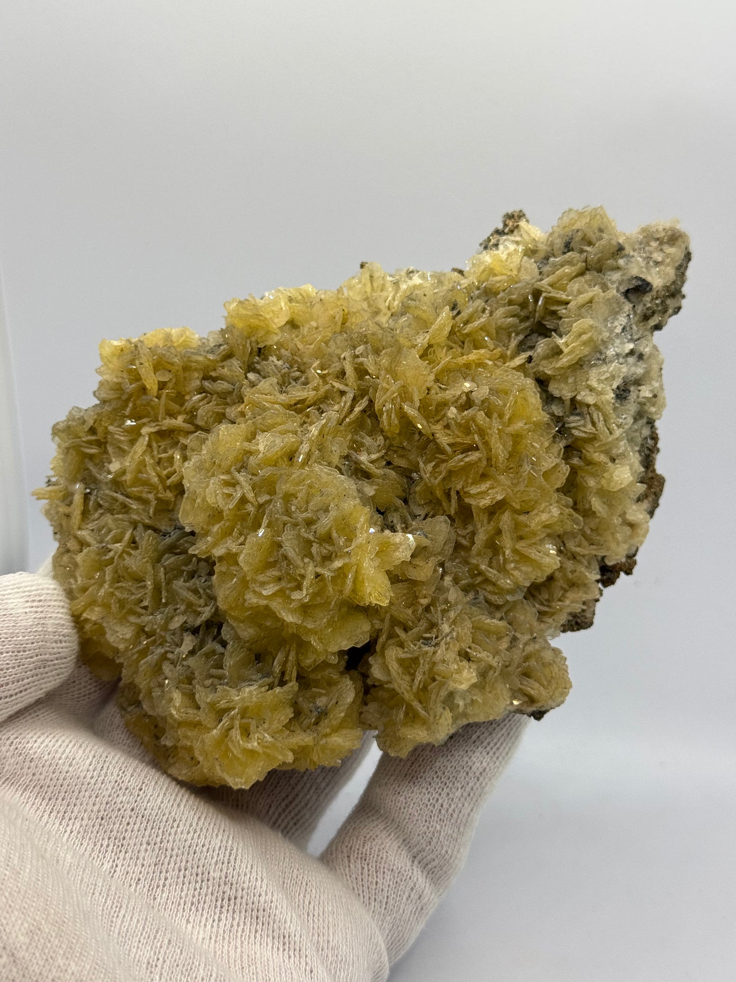 GOLDEN-BROWN BARITE - STONEHAM WELD COUNTY, UNITED STATES