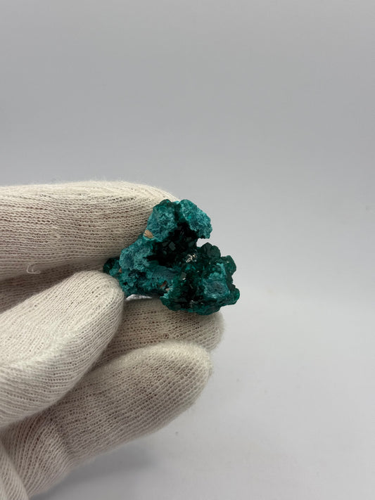 DIOPTASE & CHRYSOCOLLA- TANTARA MINE, SHINKOLOBWE, KAMBOVE TERRITORY, HAUT-KATANGA, DR CONGO