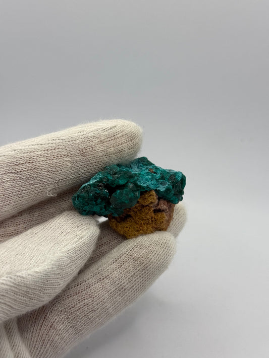 DIOPTASE & CHRYSOCOLLA- TANTARA MINE, SHINKOLOBWE, KAMBOVE TERRITORY, HAUT-KATANGA, DR CONGO