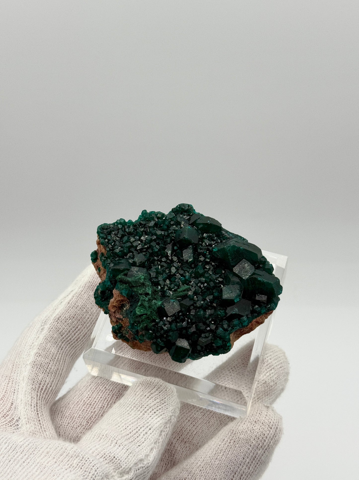 DIOPTASE - MASHAMBA WEST MINE, CONGO