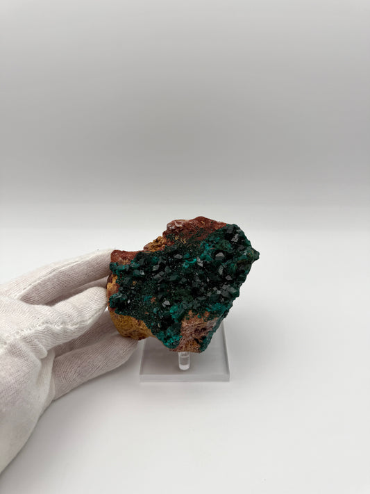 DIOPTASE ON DOLOMITE - MASHAMBA WEST MINE, CONGO