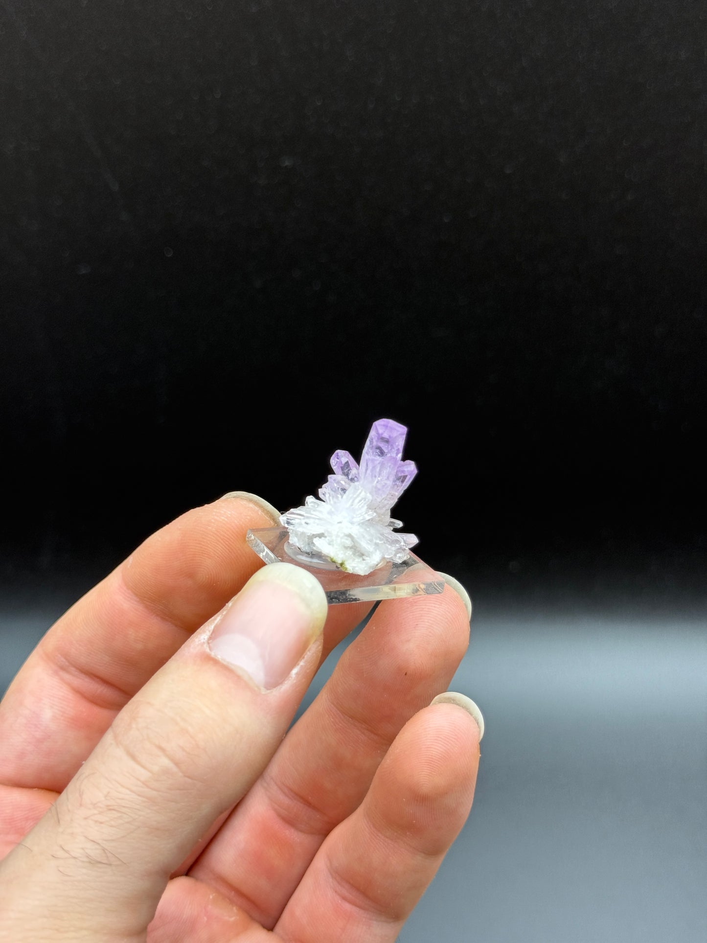 AMETHYST - VERACRUZ, MEXICO