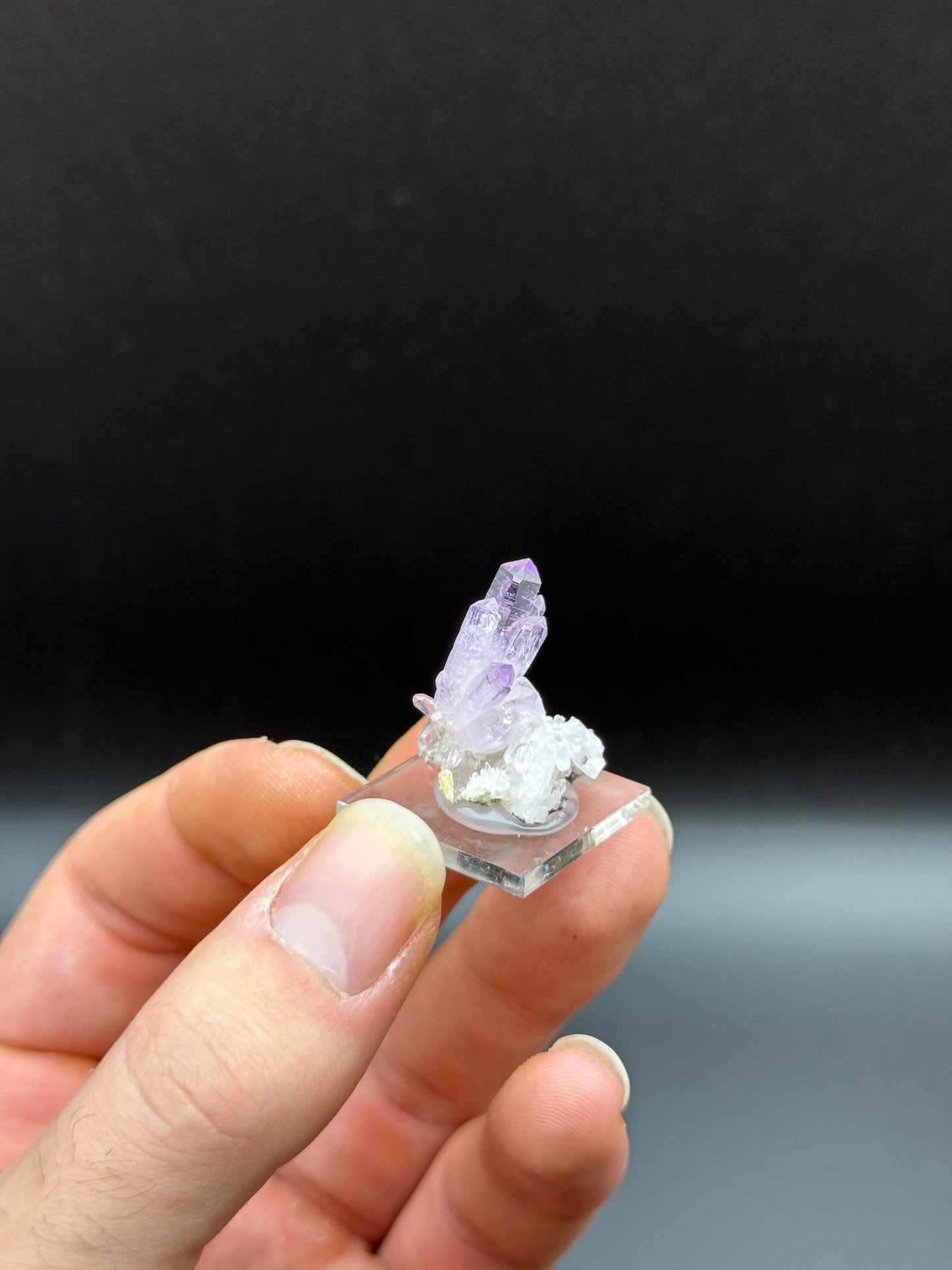 AMETHYST - VERACRUZ, MEXICO