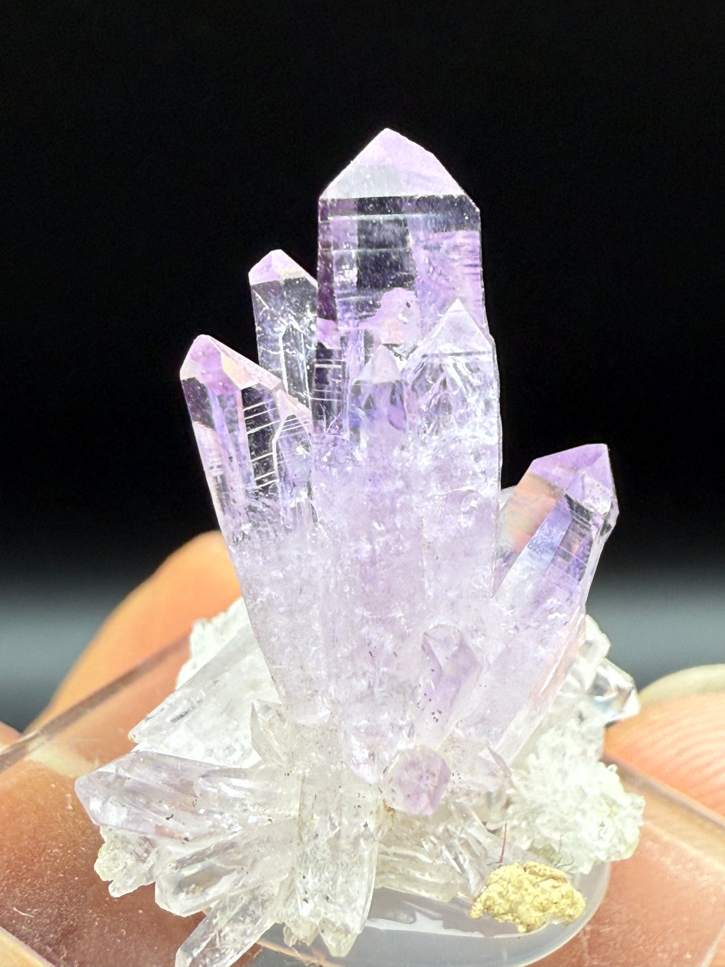 AMETHYST - VERACRUZ, MEXICO