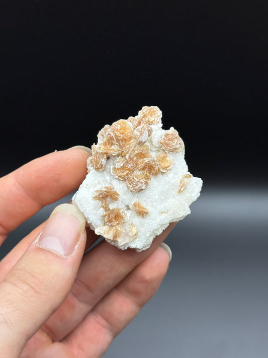 BERYL (VAR. GOSHENITE), MUSCOVITE & ALBITE - SHENGUS, ROUNDU DISTRICT, GILGIT-BALTISTAN, PAKISTAN