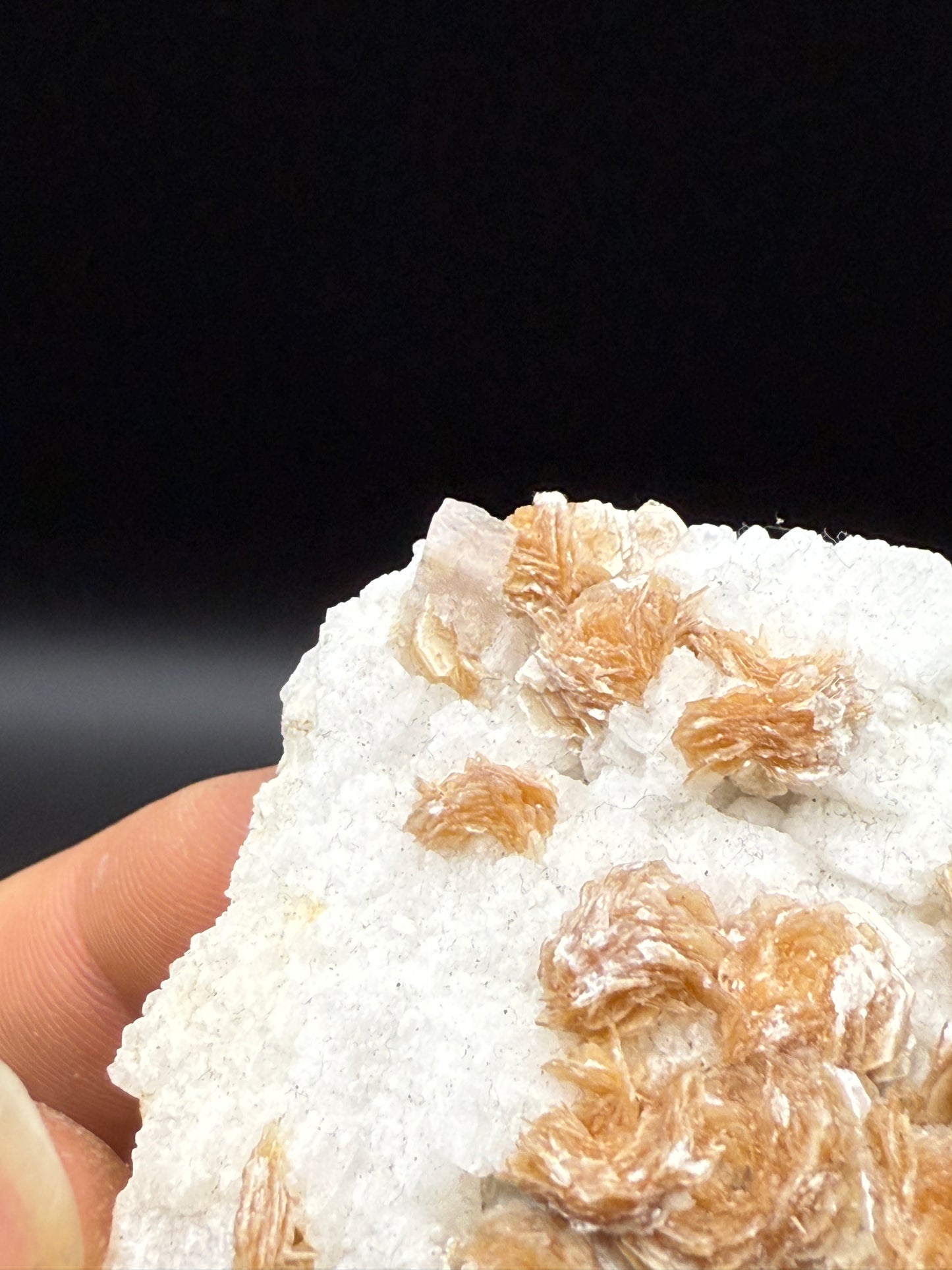 BERYL (VAR. GOSHENITE), MUSCOVITE & ALBITE - SHENGUS, ROUNDU DISTRICT, GILGIT-BALTISTAN, PAKISTAN